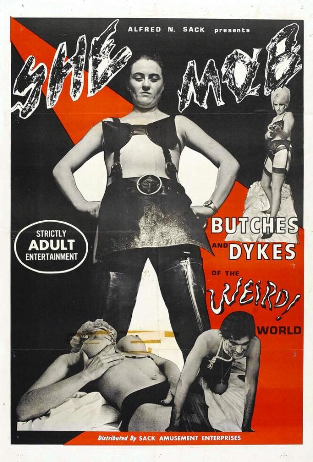 Девичья шайка (1968)