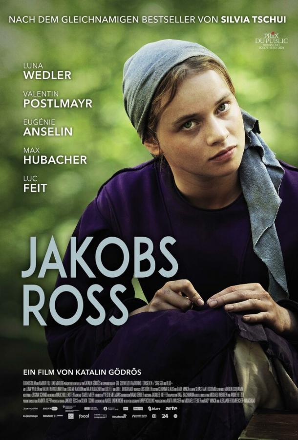 Когда поёт душа (2024)